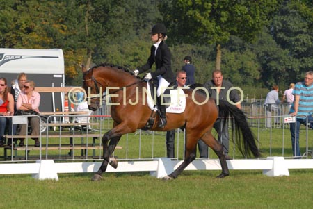 ZVS_4724