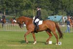 ZVS_4704