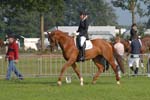 ZVS_4706