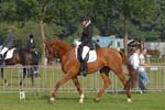 ZVS_4709