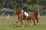 ZVS_4710