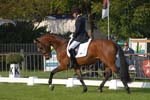 ZVS_4717