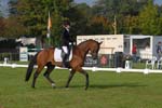 ZVS_4729