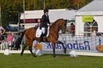 ZVS_4737