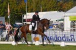 ZVS_4739