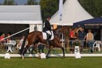 ZVS_4743