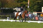 ZVS_4749