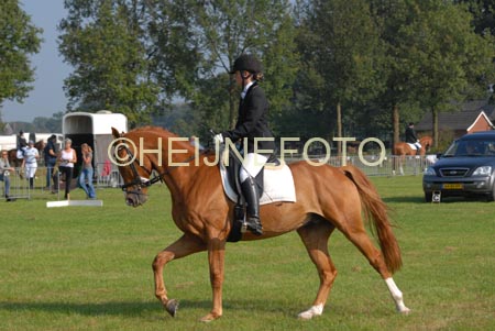 ZVS_4907