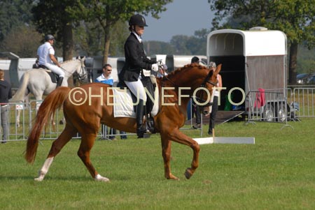 ZVS_4908