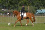 ZVS_4901