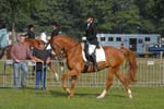 ZVS_4906