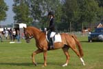 ZVS_4907