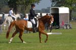ZVS_4908