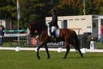 ZVS_4929