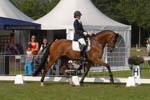 ZVS_4935