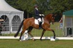 ZVS_4936