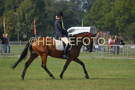 ZVS_5225
