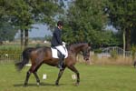 ZVS_5202