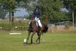 ZVS_5207