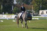 ZVS_5217