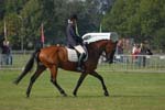 ZVS_5225