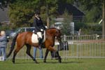 ZVS_5227