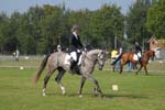 ZVS_5229