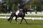 ZVS_5236