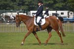 ZVS_5238
