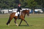 ZVS_5243