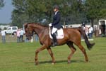 ZVS_5264