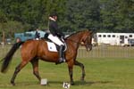 ZVS_5280