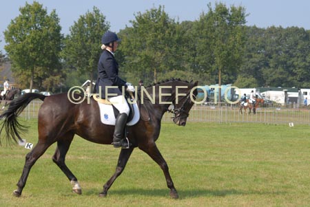 ZVS_5327