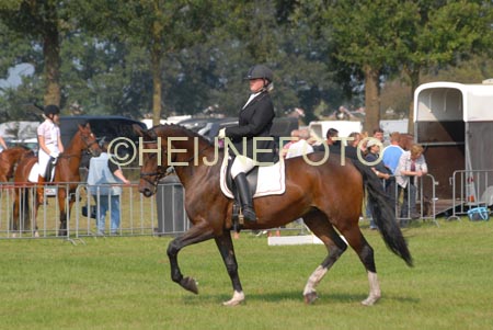 ZVS_5328