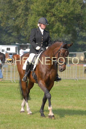 ZVS_5332