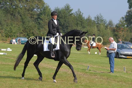 ZVS_5338