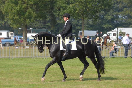 ZVS_5343