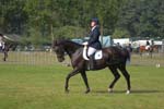 ZVS_5312