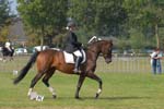 ZVS_5326