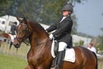 ZVS_5331