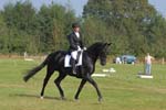 ZVS_5337