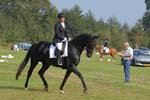 ZVS_5338
