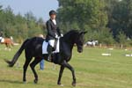 ZVS_5339
