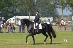 ZVS_5346