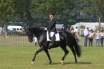 ZVS_5347