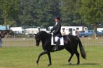 ZVS_5353