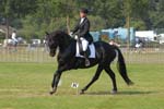 ZVS_5358