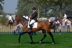 ZVS_5364