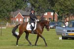 ZVS_5371