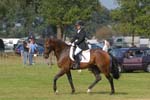 ZVS_5374